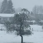 Cosy Et Chaleureux * La Baffe