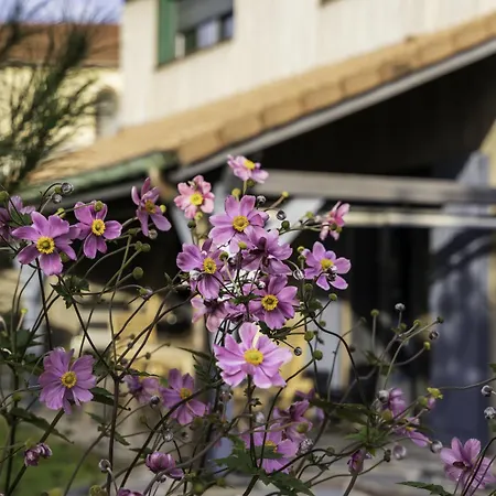 Cosy Et Chaleureux * La Baffe