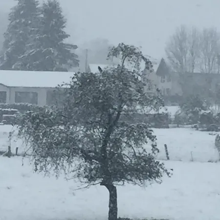 Cosy Et Chaleureux * La Baffe