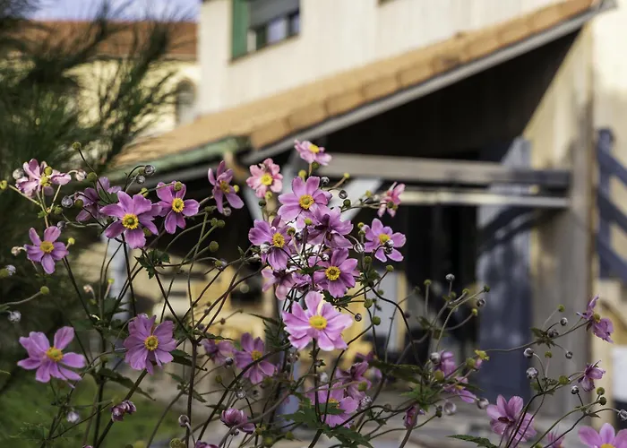 Cosy Et Chaleureux * La Baffe