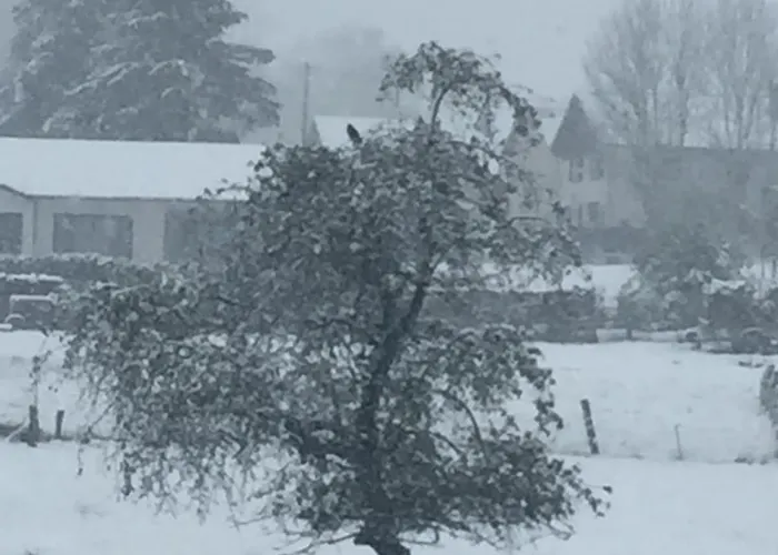 Cosy Et Chaleureux * La Baffe