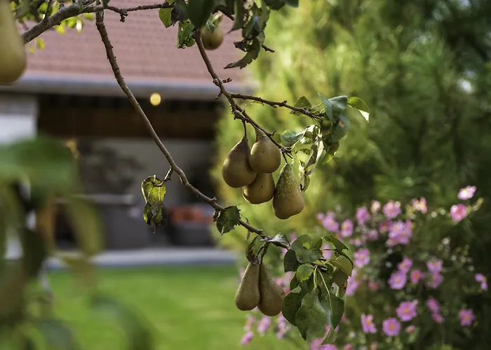 Apartmán Cosy Et Chaleureux